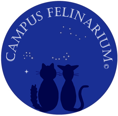 (c) Campusfelinarium.com